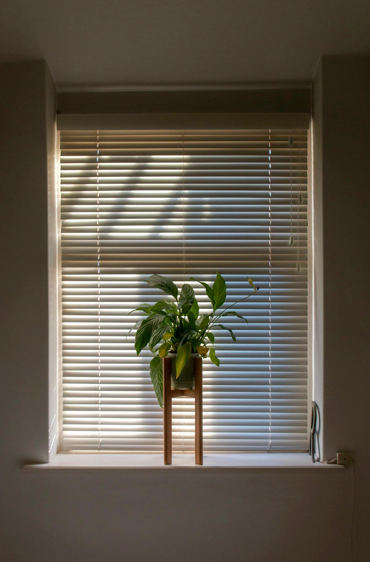 Prime Asia blind installation
