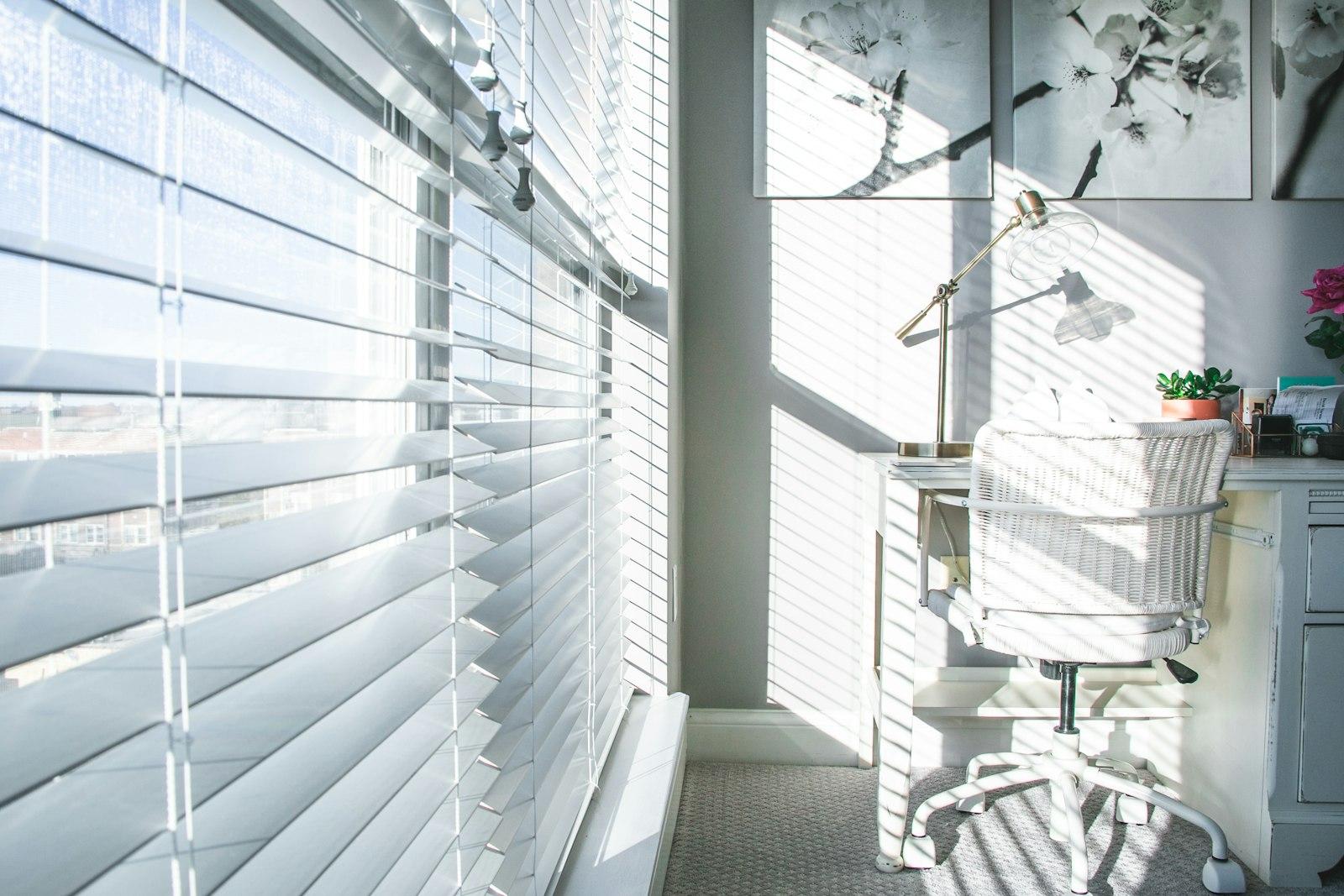 Zebra Blinds
